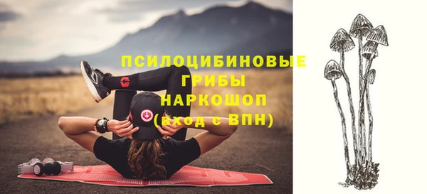 альфа пвп Рославль