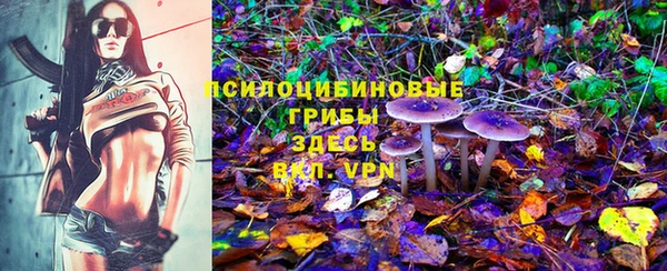 СК Ростов